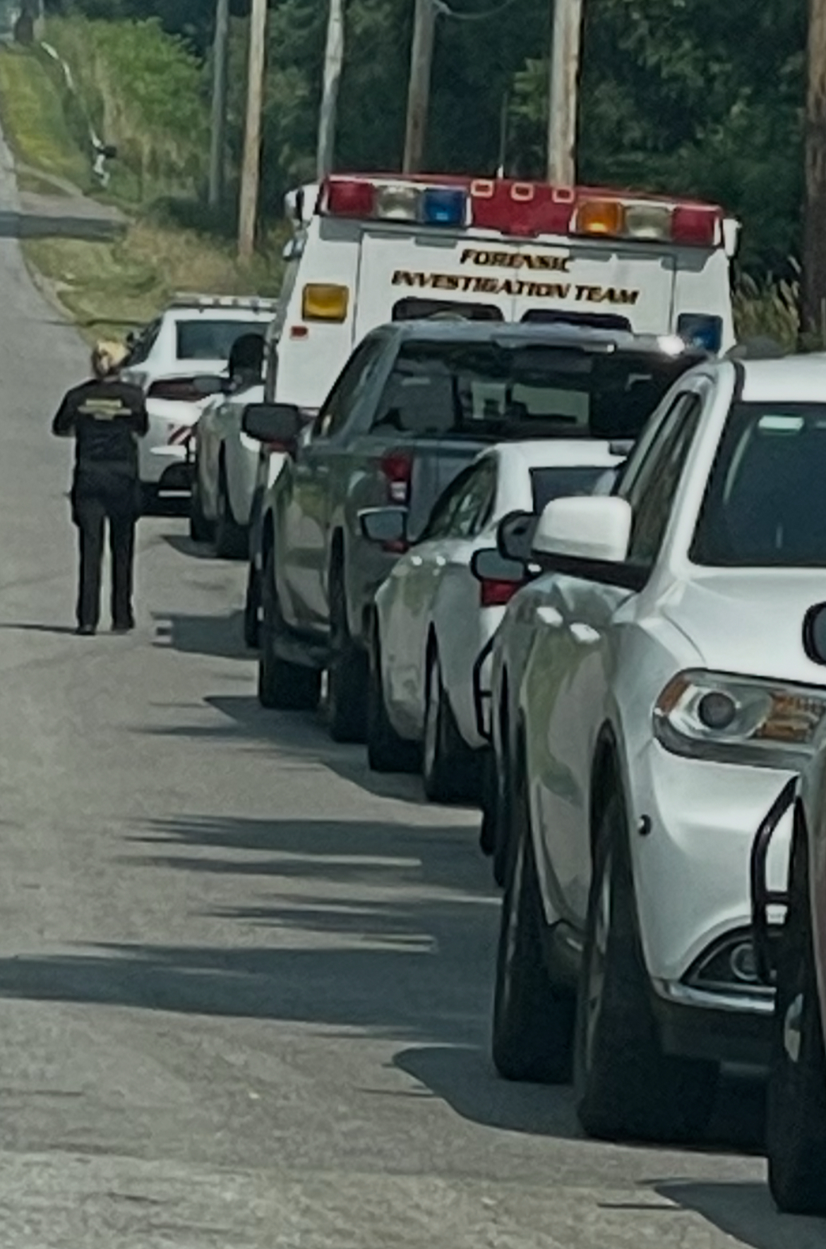 https://ogden_images.s3.amazonaws.com/www.observertoday.com/images/2025/08/07174205/Police-in-Westfield.jpg